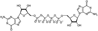 Re-evaluation of Diadenosine Tetraphosphate (Ap4A) From a Stress Metabolite to Bona Fide Secondary Messenger